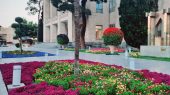 تصویر زیرخاکی از منظره برفی اطراف دروازه دولت در دوره قاجار+ عکس