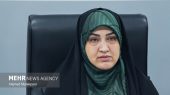 رفیعی: مجلس بر اجرای کامل مفاد تفاهم نظارت مستمر خواهد داشت