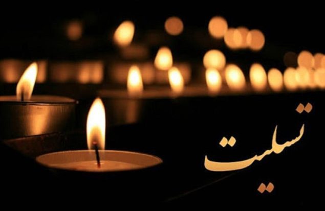 نخستین مدال‌آور المپیک کشتی ایران درگذشت