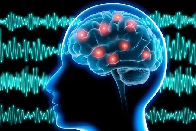 یادگیری زبانها میتواند مغز را جوانتر کند یادگیری زبانها میتواند مغز را جوانتر کند