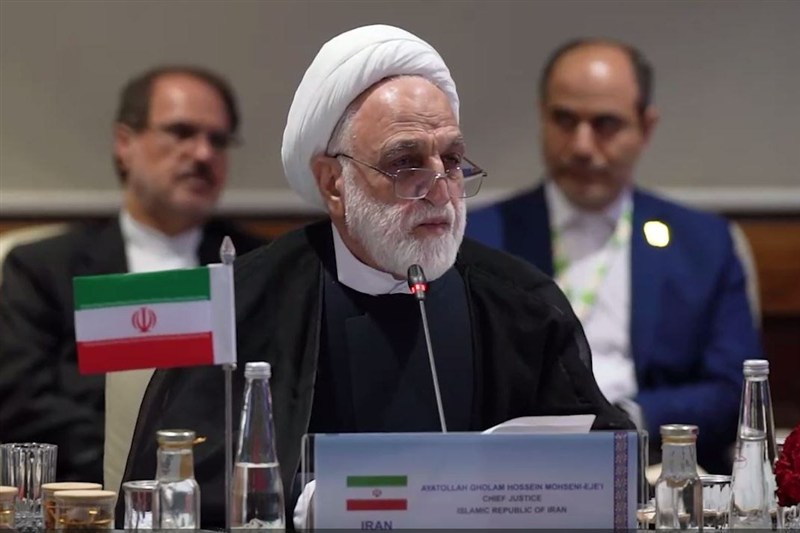 درخواست اژهای از اعضای بریکس: عاملان جنایت علیه ایران را تعقیب کنید درخواست اژهای از اعضای بریکس: عاملان جنایت علیه ایران را تعقیب کنید